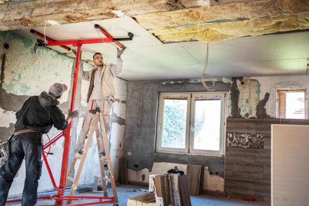 Best Residential Insulation in Neosho, MO
