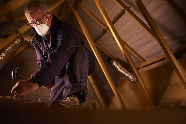 Best Spray Foam Insulation in Neosho, MO